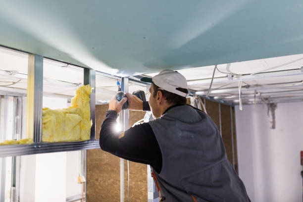 Best Specialized Insulation Services in Carnesville, GA
