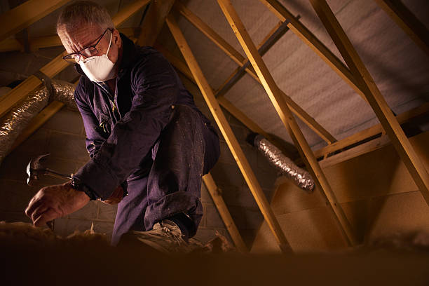 Trusted Carnesville, GA Insulation Contractor Experts