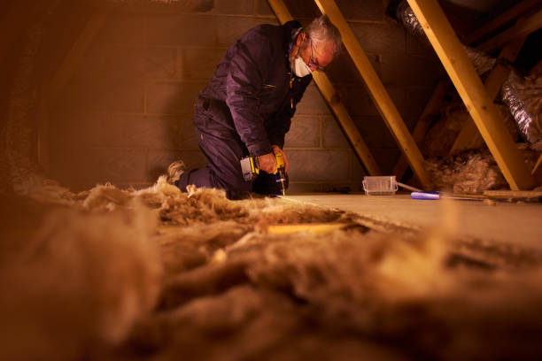Best Eco-Friendly Insulation in Carnesville, GA