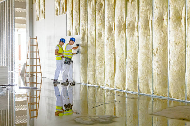Best Residential Insulation in Carnesville, GA